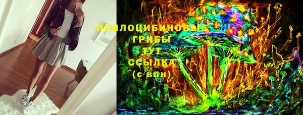 соль ск Абаза