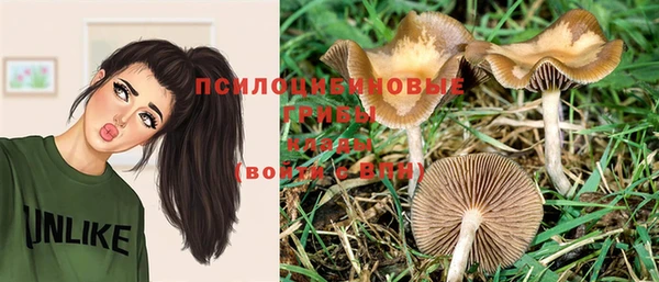 гидропоника Абинск