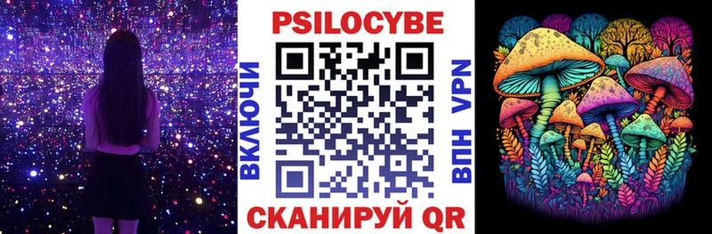 Псилоцибиновые грибы Psilocybe  цены наркотик  Зарайск 